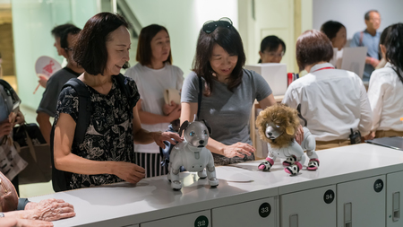 Tokyo, Japan - August 2018: Unknown women interacting with Sony Aibo robots in a Sony showroom in...