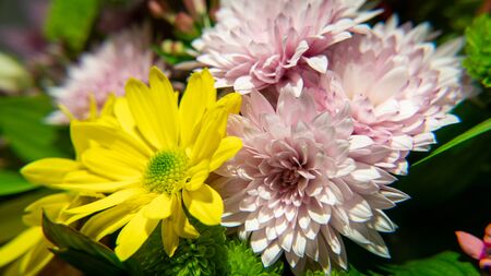 Flowers bouquet arrange for decoration in home or celebrationの写真素材