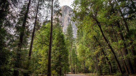 Yosemite CA USA - August 2014: Yosemite National Park Panoramic landscapeのeditorial素材