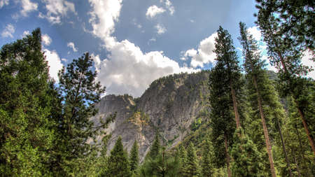 Yosemite CA USA - August 2014: Yosemite National Park Panoramic landscapeのeditorial素材