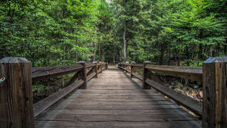Yosemite CA USA - August 2014: Yosemite National Park Panoramic landscapeのeditorial素材