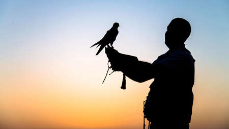 Dubai, UAE - June 2013: Falcon trainer silhouette in desert with sunset scenery