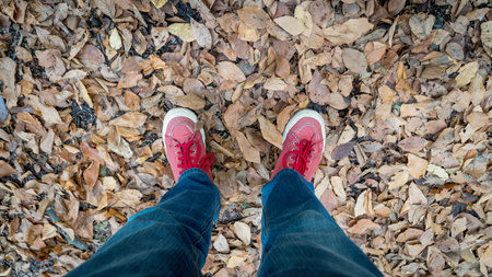 Man standing on autumn leaves in an autumn landscape, Yedigoller national park, Bolu, Turkeyの写真素材