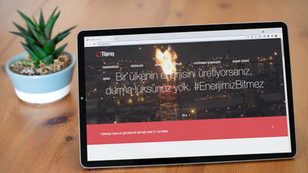 Istanbul, Turkey - July 2021: Illustrative Editorial of Turkish Coca Cola Icecek website homepage....