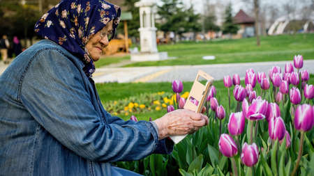 Senior Muslim woman taking a photo of flowers with her smartphone. Old woman using mobile...