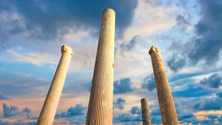 Persepolis, Iran - May 2019: Ruins of Persepolis, the capital of the Achaemenid Empire later destroyed by Alexander the great. Historical city of Persepolis in Shiraz, Iranのeditorial素材