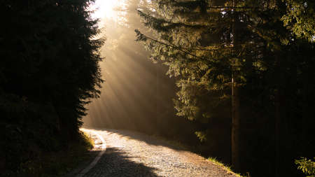 Beautiful landscape with sun rays shine and a forest. Walking into light, concept of hope and positivity. Landscape in black sea Karadeniz highlands on a beautiful day, Artvin, Turkeyの写真素材