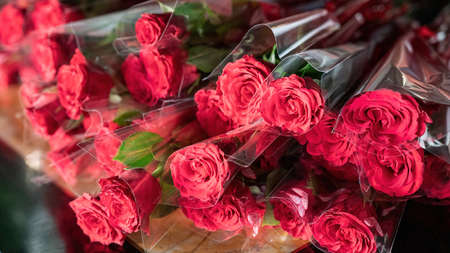 Wrapped red roses stacked on a table as gifts for valentine's day, February 14thの写真素材