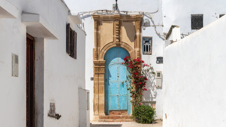 Traditional Moroccan door with Islamic design. Geometric shapes and floral motifs are common, with a...