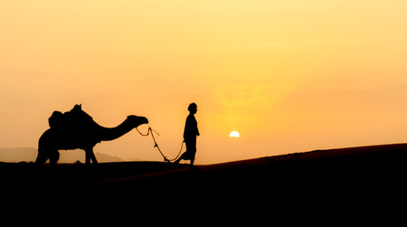Silhouette of unidentified Berber man leading camel across sand dunes during sunset in Sahara Desert, Moroccoの写真素材