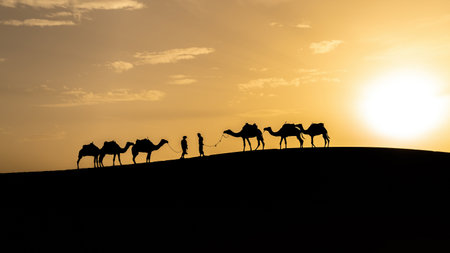 Silhouette of two Berber men leading camel caravans come across each other on sand dunes during sunset in Sahara Desert, Moroccoの写真素材