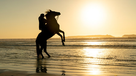 Silhouette of a horse and unidentified rider on the beach of Essaouira Mogador, Moroccoの写真素材
