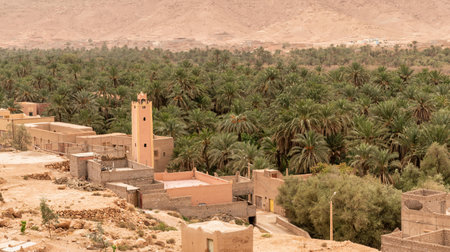 Erfoud town, nestled in the Tafilalet oasis, is a tranquil desert town surrounded by palm trees,...