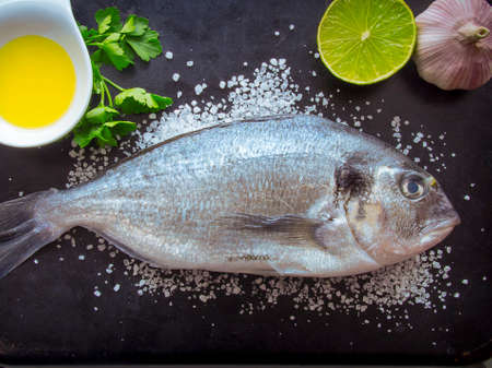 Sea Bream on Dark backgroundの写真素材