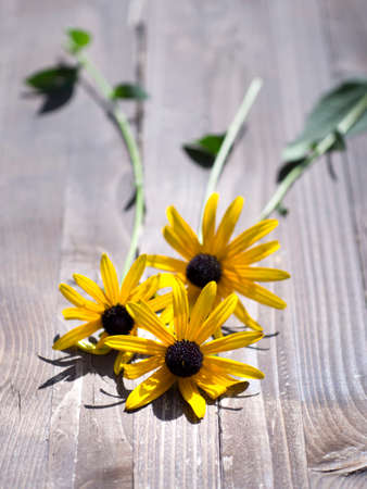 Yellow flower on wooden backgroundの写真素材