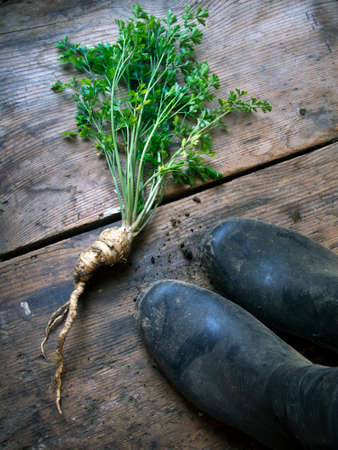 Organic gardening conceptの写真素材