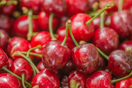Picked, red, ripe cherry fruits in a wooden box, on a plantation in Novi Sad, Serbia-background.の写真素材