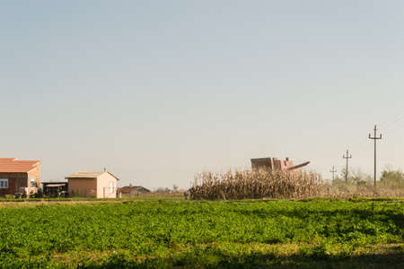 Harvester machine to harvest wheat field working.
