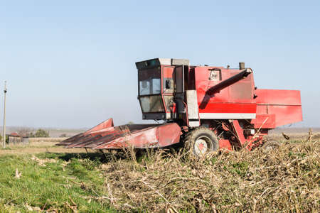 Harvester machine to harvest wheat field working.の写真素材