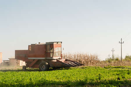 Harvester machine to harvest wheat field working.の写真素材