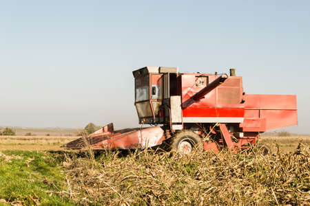 Harvester machine to harvest wheat field working.の写真素材