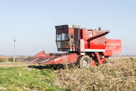 Harvester machine to harvest wheat field working.の写真素材