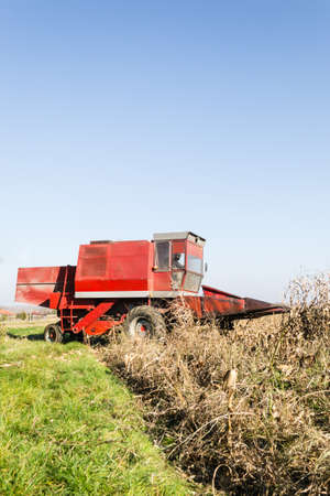 Harvester machine to harvest wheat field working.の写真素材