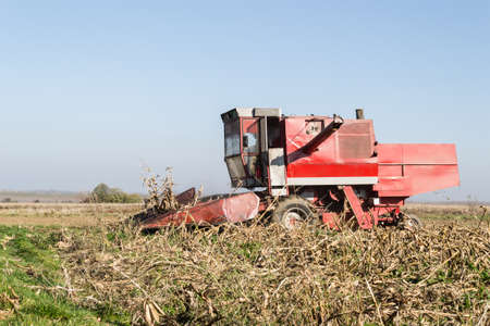 Harvester machine to harvest wheat field working.の写真素材