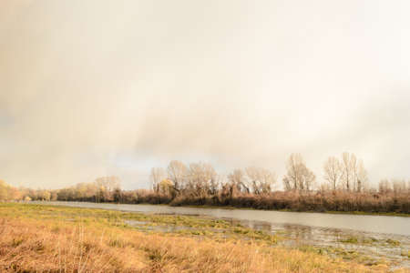 Panorama of the Danube tributary in winter with reflection of branches in the water near Novi Sad,...