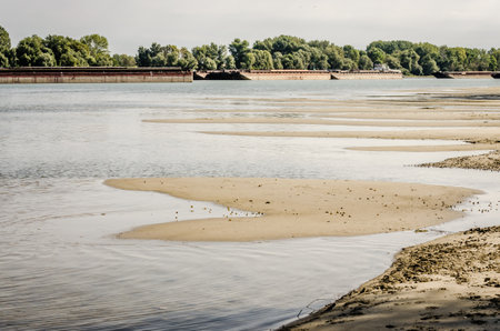 Sandy bank of the Danube river, near Petrovaradin, Novi Sad, Serbia. Panorama of the sandy banks of...