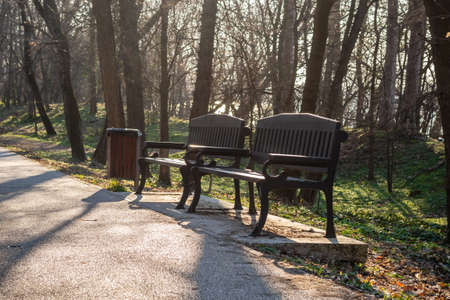 Wooden benches set up on the promenade in the city park in Sremska Kamenica, near Novi Sad, Serbia.の写真素材