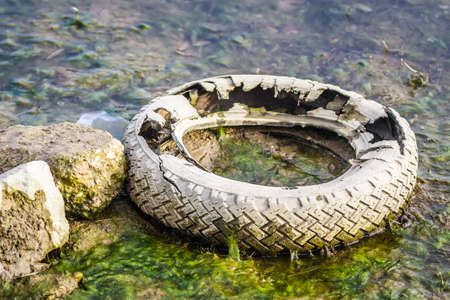 A discarded car tire in the water of a swamp covered in snow and ice.の写真素材
