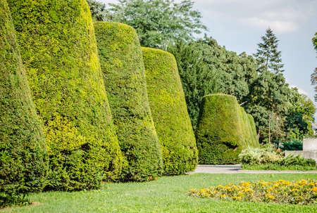 Belgrade, Serbia - July 29, 2014: The Old Fortress on Kalemegdan in the capital of Serbia, Belgrade. Monument of Gratitude to France in front of Kalemegdan fortress. The environment in the park around the monument of gratitude in front of Kalemegdan fortrのeditorial素材