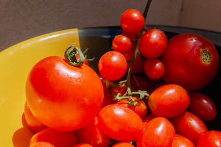 Freshly picked ripe red cherry tomatoes. Close-up image of freshly picked ripe red cherry tomatoes.の写真素材