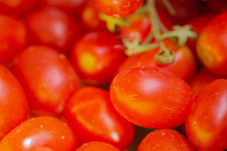 Freshly picked ripe red cherry tomatoes. Close-up image of freshly picked ripe red cherry tomatoes.の写真素材