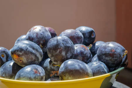 Picked plums in a ceramic bowl, close up.の写真素材