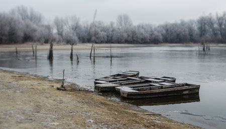 Danube Island Sodros near Novi Sad, Serbia. Gray and white landscape with snow covered trees and...