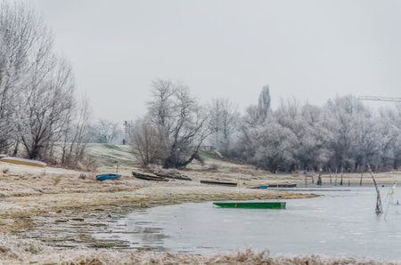 Danube Island Sodros near Novi Sad, Serbia. Gray and white landscape with snow covered trees and...