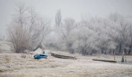Danube Island Sodros near Novi Sad, Serbia. Gray and white landscape with snow covered trees and frozen water.の写真素材