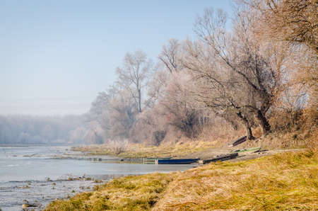 Danube Island Sodros near Novi Sad, Serbia. Landscape with snow covered trees and frozen water.の写真素材
