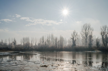 Danube Island Sodros near Novi Sad, Serbia. Landscape with snow covered trees and frozen water.の写真素材