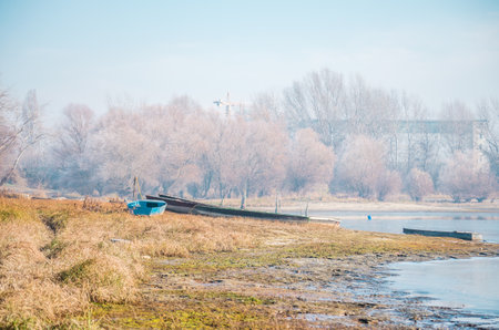 Danube Island Sodros near Novi Sad, Serbia. Gray and white landscape with snow covered trees and frozen water.の写真素材