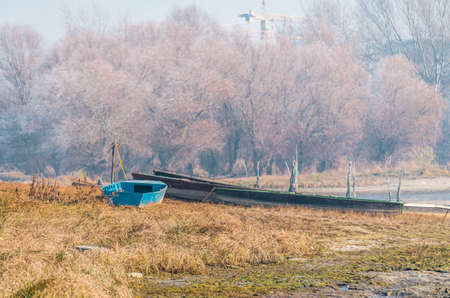 Danube Island Sodros near Novi Sad, Serbia. Gray and white landscape with snow covered trees and frozen water.の写真素材