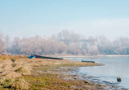 Danube Island Sodros near Novi Sad, Serbia. Gray and white landscape with snow covered trees and frozen water.の写真素材