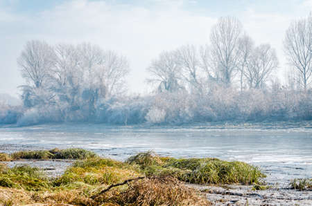 Danube Island Sodros near Novi Sad, Serbia. Gray and white landscape with snow covered trees and frozen water.の写真素材