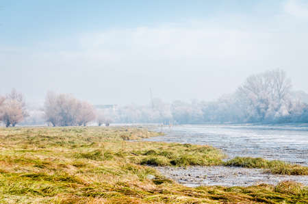 Danube Island Sodros near Novi Sad, Serbia. Gray and white landscape with snow covered trees and frozen water.の写真素材