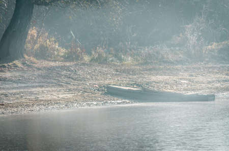 Danube Island Sodros near Novi Sad, Serbia. Gray and white landscape with snow covered trees and frozen water.の写真素材