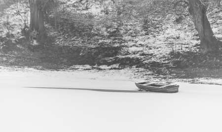 Danube Island Sodros near Novi Sad, Serbia. Gray and white landscape with snow covered trees and frozen water.の写真素材