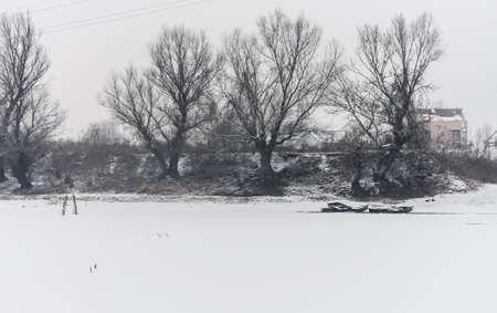 Danube Island Sodros near Novi Sad, Serbia. Gray and white landscape with snow covered trees and frozen water.の写真素材