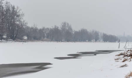 Danube Island Sodros near Novi Sad, Serbia. Gray and white landscape with snow covered trees and frozen water.の写真素材